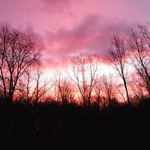 Meet your Posher, Kristy